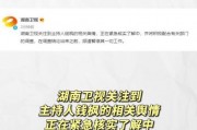 吃瓜娱乐模板,揭秘明星们的“瓜田”奇遇记